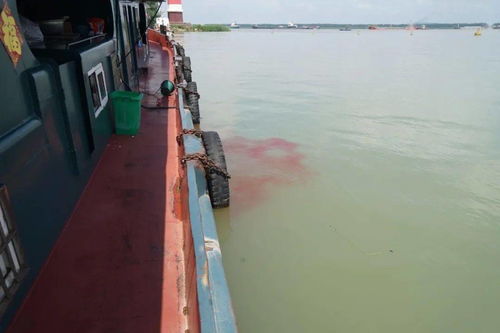 环保 南京海事局 四个全面 高质量完成内河船舶生活污水生活垃圾污染专项整治 百日行动